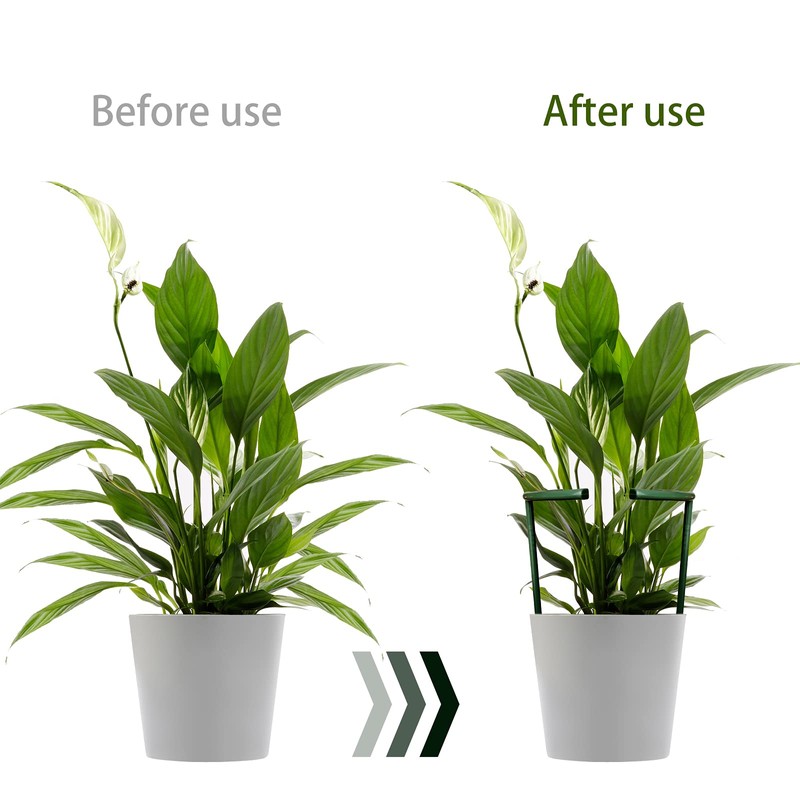 12 Pack Plant Support Stakes with 24 Pcs Clips, Half