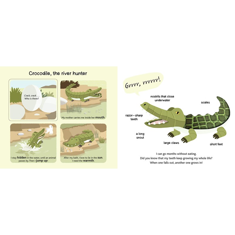 Touch and Explore: Safari