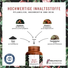 NATURTREU Eisen Komplex mit Vitamin C und Fenchel vegan - 120 Kapseln gegen Eisenmangel - Alternative zu Eisentabletten, leichter zu schlucken - ohne Zusatzstoffe, laborgeprüft