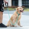 iYoShop Durable Slip Lead Dog Leash with Padded Handle and
