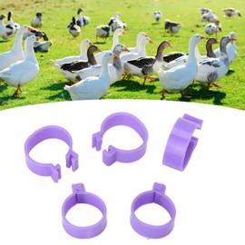 100 PCS Chicken Foot Ring Classification Marking Purple Poultry Foot Rings Plastic Chicken Leg Bands Round Identificaiton Tags Farming Tools(25mm-Purple)