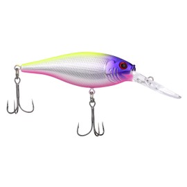 Berkley Flicker Shad Fishing Lure, Rainbow Trout, 5/16 oz, 2 3/4in | 7cm Crankbaits, Size, Profile and Dive Depth Imitates Real Shad, Equipped with Fusion19 Hook