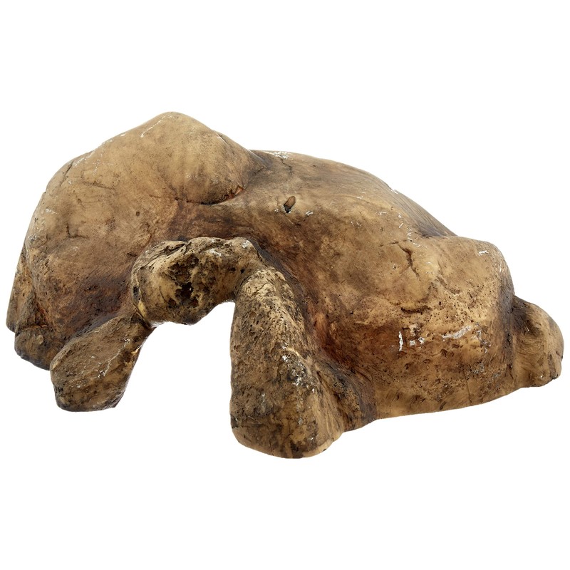 Exo Terra Reptile Cave Large, brown