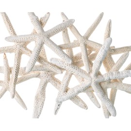 Starfish Decor - Star Fish for Craft - 10pk Uniquely Shaped 6-8" White Real Sea Stars - Beach Wedding Decor - Coastal Party Decorations