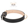 WHIPPY Leather Dog Collar for Small Medium Large Dog