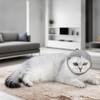 Vubbkdi Cat Bubble Muzzle for Cats That Bite Transparent Muzzle