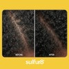 Acondicionador Sulfur8 medicado regular, fórmula anticaspa para cabello y cuero