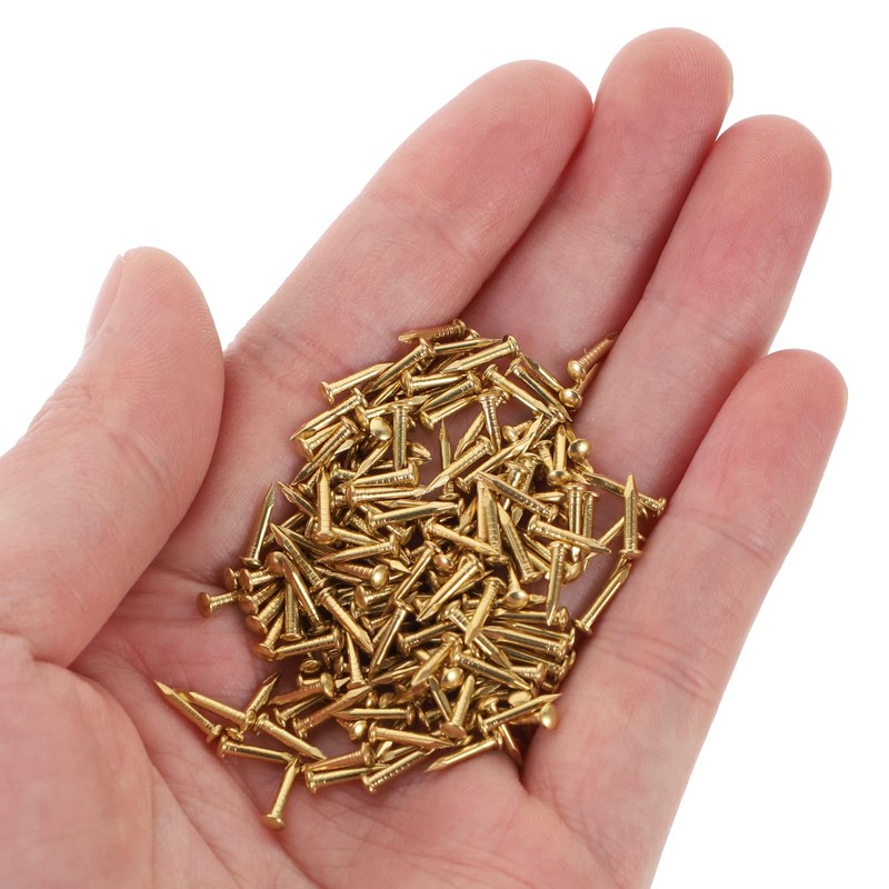 HEALLILY 200pcs Copper Nails for Killing Trees Removing Stumps Copper