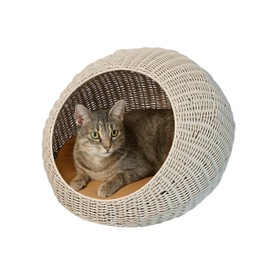 THE LICKER STORE CBD3000C Fiora 19.5" x 18" Modern Circular Faux Wicker Pet Bed with Machine-Washable Cushion, Cat Beds for Indoor Cats, White