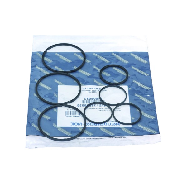 Allison 2000-up Allison 1000-2000 Transmission Sealing Ring Kit by TransTec