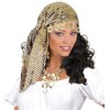 Sequin Gypsy Head Dress Accessory for Fancy Dress