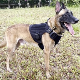 ICEFANG GN1 Tactical Dog Harness for X-Large Sized Dogs,2X Metal Buckle,Working Dog MOLLE Vest with Handle,No Pulling Front Leash Clip (XL (Pack of 1), Black)