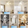 DBFAIRY Ceiling Fan with Lighting, Ceiling Fan with Dimmable Light