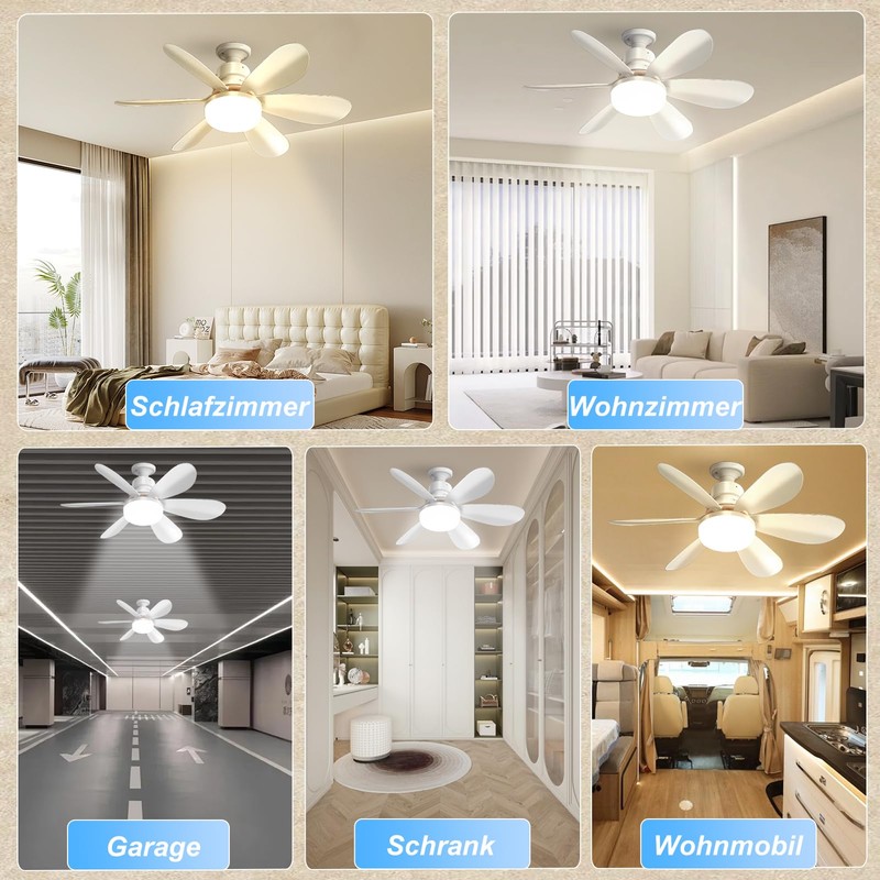 DBFAIRY Ceiling Fan with Lighting, Ceiling Fan with Dimmable Light