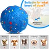 Interactive Dog Toy Ball, Automatic Moving, Bouncing Chew Toy, E-TPU