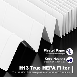 4 Pack 115115 HEPA Replacement Filter A for Winix PlasmaWave Air Purifier C535 5300 5300-2 5500 5500-2 6300 6300-2 P300 AM90 9000 5000 5000B C909 9800, H13 True HEPA Size 21 Filter