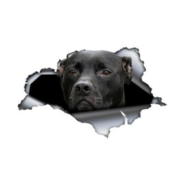 3D Pitbull Sticker Ripped Effect Waterproof Reflective for Car, Bumper, Window, Fridge, Laptop, Decorative Stickers (15 cm/5.9 Inches)