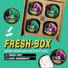 SCOOPER Energy 80mg Fresh Box Extra Strong | Cool Grapefruit