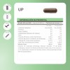 MATTER SMART NUTRIENTS | UP |Extractos Herbolarios con Vitamina C,