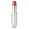 Prolance Sunny Glam EX Lipstick 110