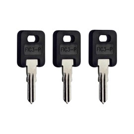 Global Link G362 Purple RV Keys (3 Keys)