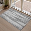 tchdio Abstract Area Rugs for Entryway - 2x3 Washable Rugs