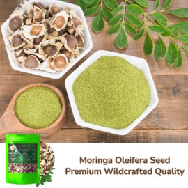 HERBALISTA Herbalista Moringa Seeds | 8oz (226g) Approx. 800+ Seeds | Premium PKM1 Variety | Snacking & Planting | Non-GMO | Wildcrafted Drumstick Tree (Malunggay) | Moringa Oleifera Semillas