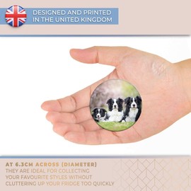 Destination Vinyl ltd Magnet for Refrigerator, Fridge - Border Collie Family Dogs Animals Cute for Office, Cabinet and Whiteboard, Magnetic Stickers, 8625