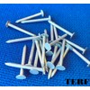 TERF® 30mm X 2.65mm Galvanised Clout Nails 30mm (1.18 inch)