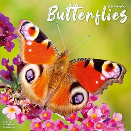 Butterfly Calendar - Calendars 2023 - 2024 Wall Calendars - Animal Calendar - Butterflies 16 Month Wall Calendar by Avonside