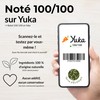 Pack of 5 Natural Siwaks + 1 Case - Natural