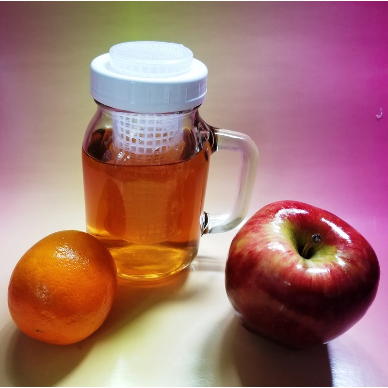 Kefir Fermenter - Infuser with Handle 0.6L/20oz for homemade kefir