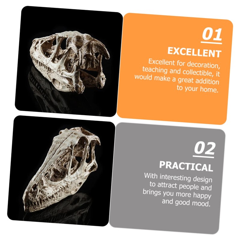 VILLFUL Unique Dinosaur Skull Model Skull Specimen Attractive Design for