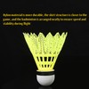 Paifeancodill Badminton Shuttlecocks Birdies, 12 Pcs Nylon Badminton Birdies, Feather