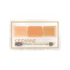 Cezanne Palette Concealer, High Cover, 0.2 oz (4.5 g), High