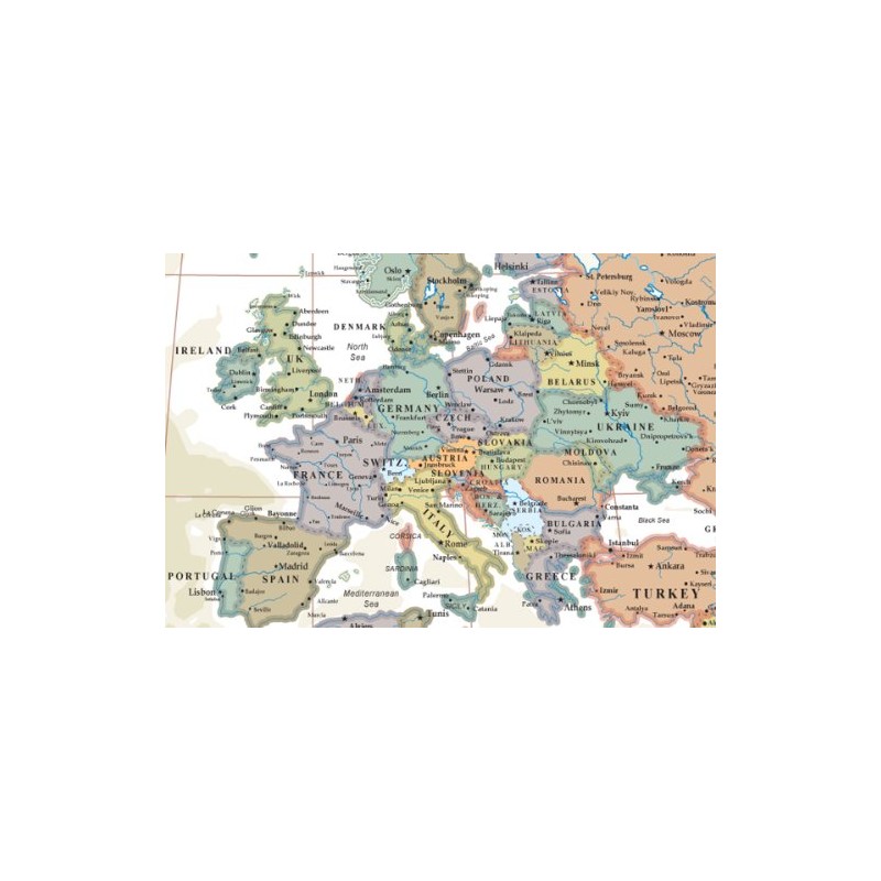 World Executive Wall Map Poster Mural (48x70 Laminated)