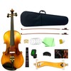 Silvio Violin Set 4/4 Full Size Includes Carrying Case And