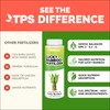 Lucky Bamboo Fertilizer – Liquid Plant Food for Greener Stalks,