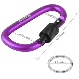 3" Locking Carabiners | Keychain Carbineers D Ring Key Clip Spring Snap Hook for Multi-Usage | Set of 10