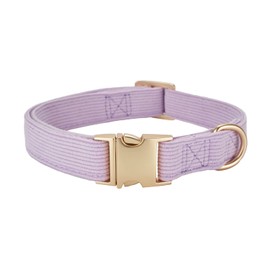 Petiry Soft Corduroy Fibric Dog Collar with High Grade Metal Buckle, for Medium Dogs.(Purple,Medium:12-19")
