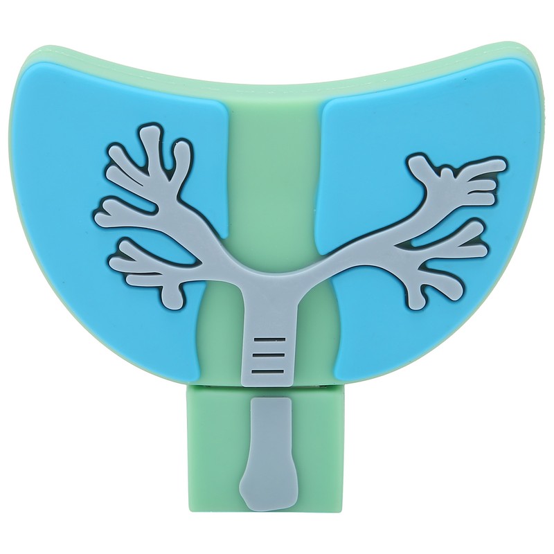 U Disk USB2.0 3 Dimensional Practical Innovative Data Storage Gift