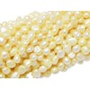 Freshwater Pearls for Threading Freshwater Cultured Pearls Hole Punch Small