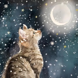 GBCC Charity Christmas Cards Pack of 10 - Charity Christmas Cards with Moonlight Cat Design - Eco-Friendly Xmas Cards Multipack with Envelopes