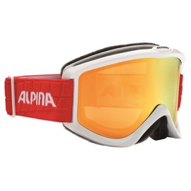 Alpina Smash 2.0 DH unisex adult ski goggles
