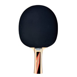 DONIC Donic-Schildkröt Donic-Schildkröt Tischtennisschläger Top Team 600, AVS-Griff, 1,7 mm Schwamm, Donic 2-Stern - ITTF Belag, 733236, Holz/Natur