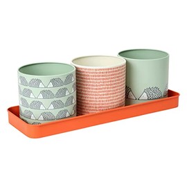 Dexam Scion Spike Set of 3 Herb Pots - Sage