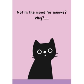 Pawsome notebooks set 2 Black cats - 05