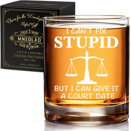 WFFW Lawyer Whisky Glass for Men - 'I Can't Fix Stupid But I Can Give It A Court Date' 11oz Attorneys & Law Students, Courtroom Humor Gift for Legal Professionals -311