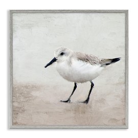 Stupell Industries Lone Sandpiper Bird Portrait Framed Wall Art, Design by Kim Allen