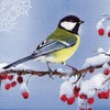 20 Napkins Great Tit on Frosty Branch Bird Animals Christmas